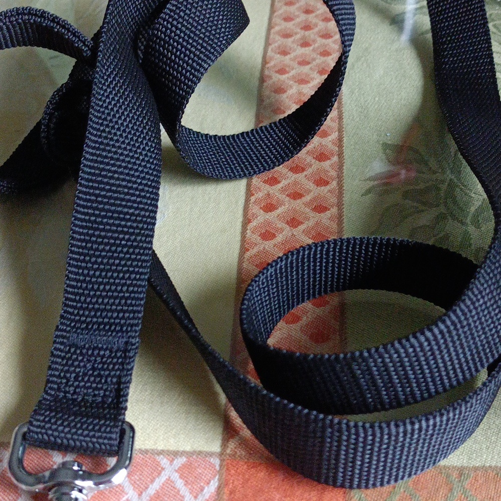 Dog leash